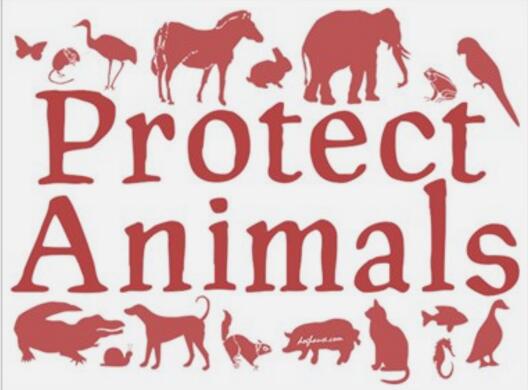 protect animal